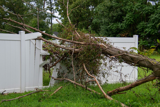 Storm damaged trees can create potentially dangerous situations for homeowners and neighbors. (Adobe Stock)