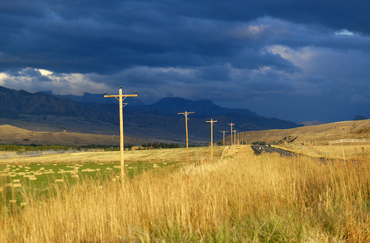 Montana has 25 electric cooperatives. One critic says co-op boards could be more representative of its members. (Guntherize/Adobe Stock)