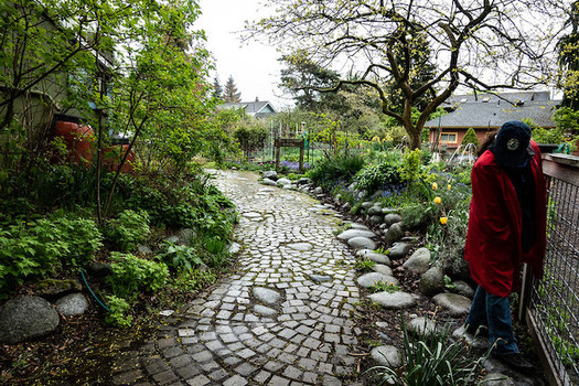 The Tilth Alliance, its Seattle community garden seen above, is bringing together farmers and farmworkers in Yakima this weekend. (CAJC: in the PNW/Flickr)