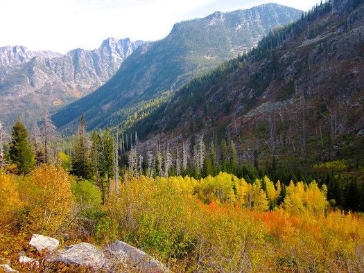 A 40,000-acre logging project has been approved in the Payette National Forest. (Keith Lannom/U.S. Forest Service)