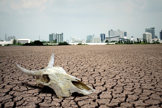 An international group of more than 11,000 scientists are warning political leaders and others that, in their opinion, the earth is in a “climate emergency.” (scottchan/AdobeStock)