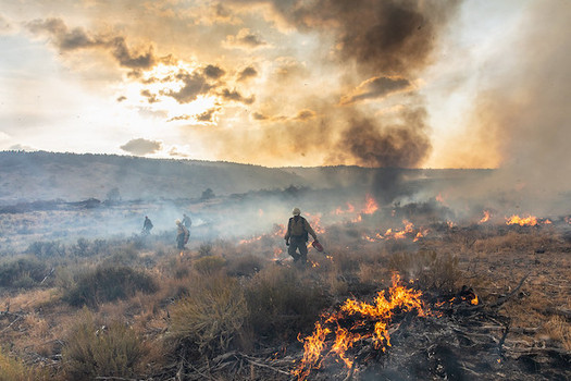 Eight in 10 people in Idaho see wildfire smoke as a natural hazard, according to new research. (Neal Herbert/U.S. Interior Dept.)