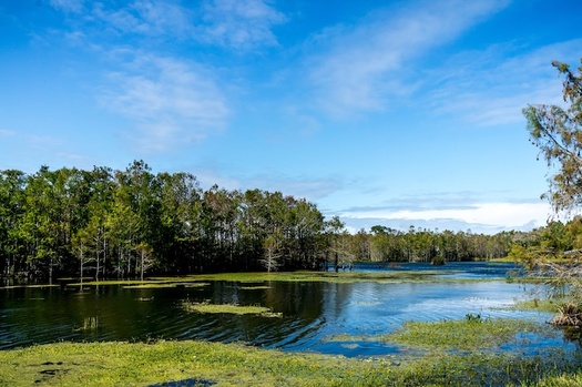 In October, the Trump administration repealed 2015 regulations that protected streams, wetlands and rivers from polluting chemicals. (Adobe Stock)  