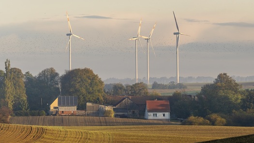 Studies have shown positive public health and climate impacts from wind farm development. (Mike Mareen/Adobe Stock)