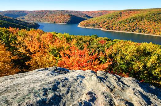 The 513,000-acre Allegheny National Forest includes 25,000 acres protected under what is known as the Roadless Rule, which has been in place since 2001. (Cred Zack Frank/Adobe Stock)