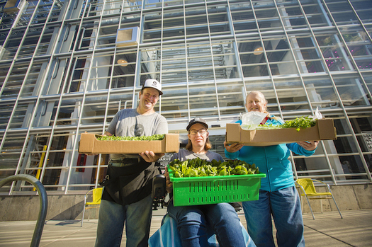 Vertical Harvest operates on one-tenth of an acre, yet grows produce at a rate equivalent to a traditional five acre soil farm. (Vertical Harvest)