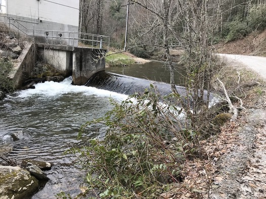 Cathey's Creek in Brevard is the city's main source of drinking water. (Resource Institute)