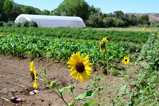 Any of 536 different fracking chemicals used in New Mexico could be found in 
