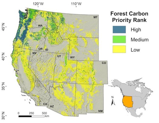 Preserving forests in the Northwest would be the equivalent of not burning fossil fuels for eight years in the Western United States, a study has found. (Oregon State University)