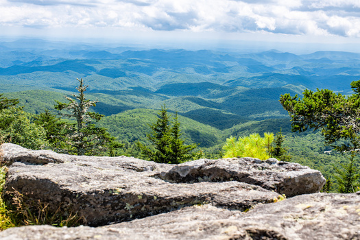 Western North Carolina is among the most ecologically rich regions in the world. (Adobe Stock)