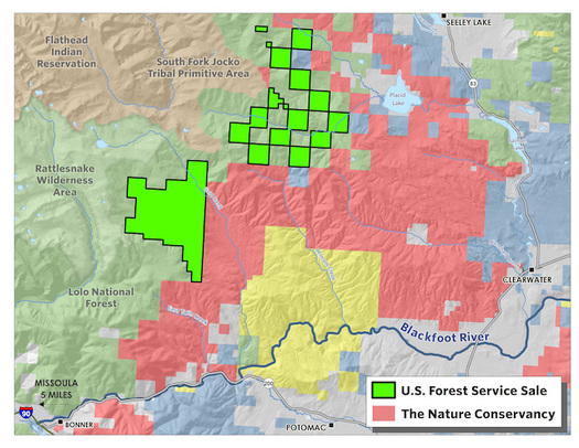 The Nature Conservancy is selling a checkerboard of land parcels to the U.S. Forest Service. (The Nature Conservancy)
