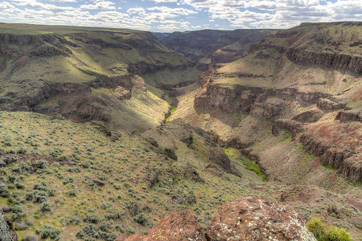 The Bureau of Land Management oversees nearly 12 million acres in Idaho. (Bob Wick/BLM)