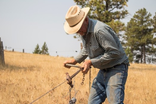 Montana ranchers say they're getting a raw deal from the four large packing corporations that control most of the beef market. (Northern Plains Resource Council)
