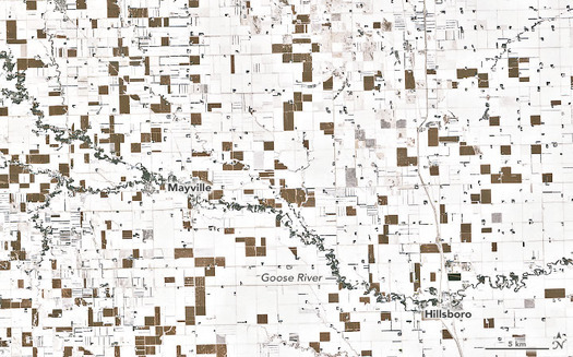 The brown squares on this satellite image indicate the areas of unharvested corn in an otherwise snowy North Dakota landscape. (NASA Earth Observatory) 