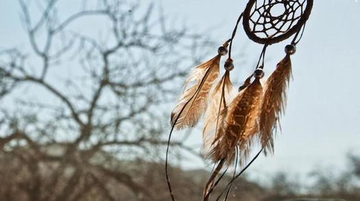 Cancer is a leading cause of death among American Indian populations, but palliative care in South Dakota is often a long drive from the state's Indian reservations. (aamc.org)