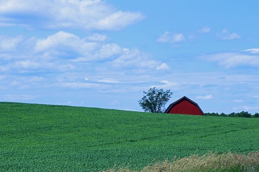 Maine ranked as the most rural state in the nation in 2010, according to census data. This has posed a challenge in bringing high-speed internet to much of the state. (Henry Gartley/Pixabay)