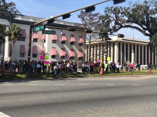 The first Women's March in 2017 drew hundreds of thousands of people to rallies in cities across the country on the day after President Donald Trump was inaugurated. (Trimmel Gomes) 