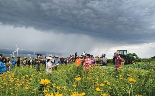 A recent Climate Nexus poll found 7 in 10 Iowa voters support government action that addresses climate change. (Practical Farmers of Iowa)