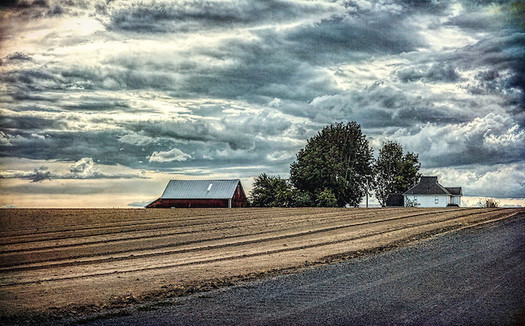 Farmers across Oregon believe climate change is hurting them financially. (Sheila Sund/Flickr)