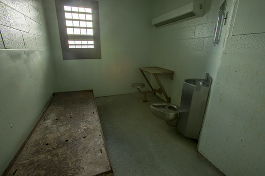 Solitary confinement can have detrimental effects on the developing brains of young people, studies have found. (karenfoleyphoto/Adobe Stock)