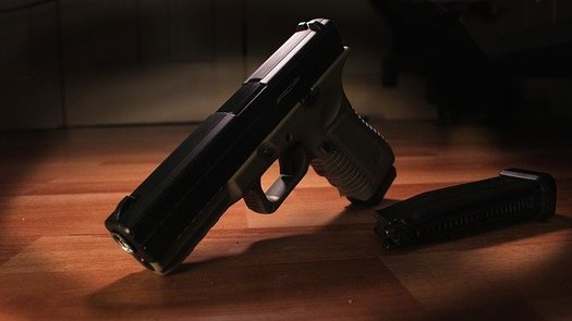 A majority of Americans support laws that allow family members or police to request temporary removal of guns from a person deemed at risk to themselves or others, according to a 2019 APM Research Lab/Guns & America/Call To Mind survey. (LoveableNinja/Pixabay) 