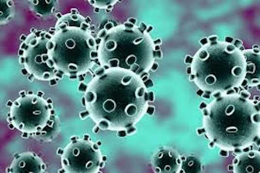 The U.S. Congress was warned on Tuesday that the coronavirus could hurt the global economy. (west.Arizona.edu) 