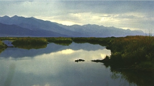 At a Denver hearing last week, WildEarth Guardians submitted a petition signed by 15,000 Americans who oppose federal changes to the National Environmental Policy Act. (sierraclub.org)