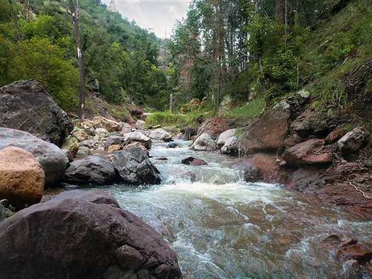 More than 50% of New Mexico residents in a new poll strongly agree that the U.S. Congress should permanently protect the Gila River as Wild and Scenic. (wildlife.state.nm.us)  