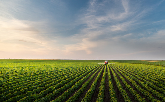 Last year, China bought nearly 264,000 tons of soybeans from farmers in the United States, according to the U.S. Department of Agriculture. (Adobe Stock) 