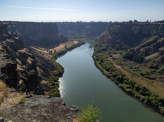 Salmon and steelhead return numbers on the Snake River have plummeted in recent decades. (Matthew Dillon/Flickr)