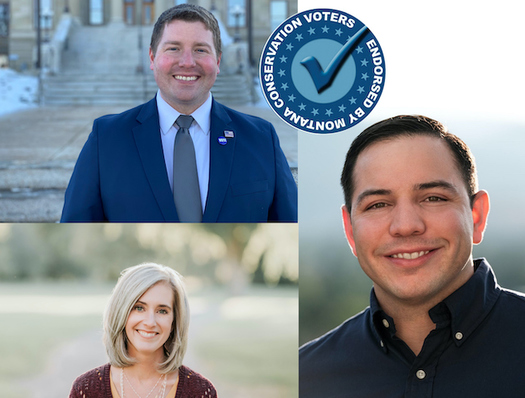 Montana Conservation Voters is supporting candidates who will sit on the Land Board that favor protecting public lands. (Montana Conservation Voters)