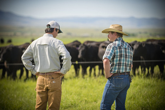 Some cattle producers want the federal government to restore country-of-origin labeling to help their long-term economic prospects. (USDA NRCS Montana/Flickr)