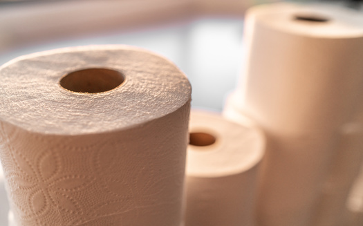 Minnesota Attorney General Keith Ellison says his office has received complaints of one store selling a 36-roll pack of toilet paper for nearly $80. (Adobe Stock) 