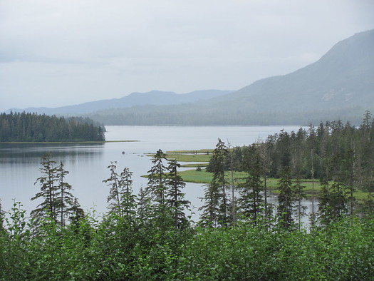 A timber harvest plan would have covered 1.8 million acres of land on Prince of Wales Island in the Tongass National Forest. (Steve Sadowski/Flickr)