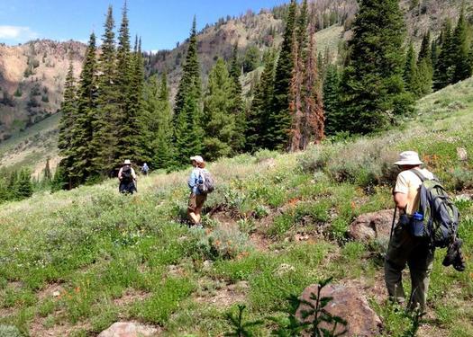 The Forest Service has closed several recreation sites in New Mexico in an effort to protect residents from the COVID-19 outbreak. (auroraroberts/SierraClub.org) 