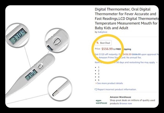 Consumer groups say a $500 thermometer is just one example of price gouging. (M. Kuhlman) 