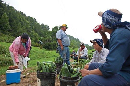 Gov. Ralph Northam has until April 11 to amend Virginia's minimum wage bill to include farmworkers. (Laura Elizabeth Poh/Bread for the World)
