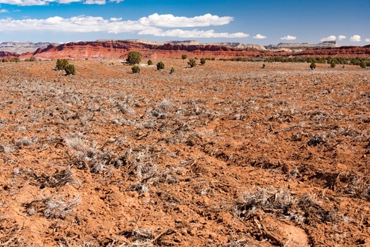 This area of Utah's Grand Staircase-Escalante National Monument shows the results of mechanical clearing, also called 