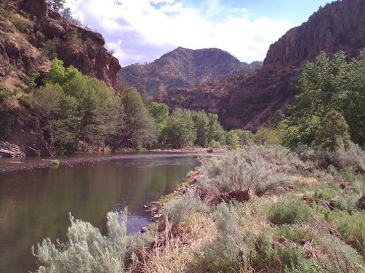 The Gila Wilderness was the first area in the United States to receive wilderness designation. (nmwild.org)