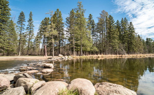 Conservation groups hope that any bonding bill this year will include more money to protect Minnesota's natural resources, such as the Mississippi River headwaters. (Adobe Stock)