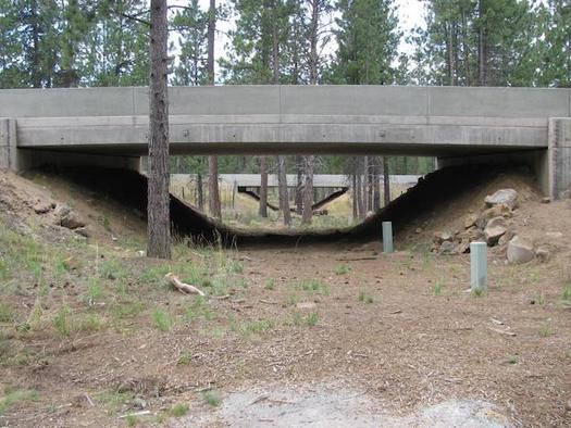 Wildlife crossings for U.S. Highway 97 in central Oregon could serve as templates for the rest of the state. (Simon Wray/ODFW)