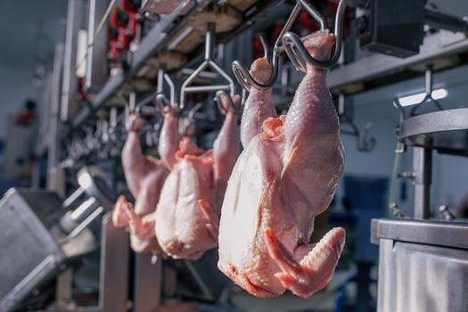 Tight working conditions on production lines in meat and poultry processing facilities make it impossible for workers to adhere to 6-foot distancing. (Adobe Stock)