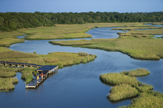 Wetlands prevent flooding by sponging up excess water after storms and heavy rains. (Adobe Stock) 