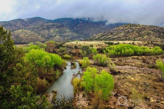 New Mexico's Gila and San Francisco rivers and their tributaries make up one of the largest undammed watersheds in the lower 48 states. (circleofblue.org)