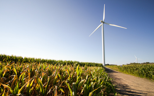 According to one trade group, Iowa has more than 9,000 wind-energy jobs. (Adobe Stock)