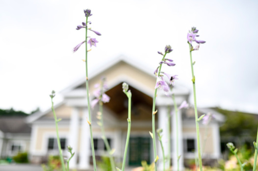 More than 110 people have passed away from COVID-19 in New Hampshire, with close to 80% of deaths occurring in long-term care facilities, such as Bellamy Fields. All 19 new deaths announced on Wednesday were long-term care residents. (Bellamy Fields Website)