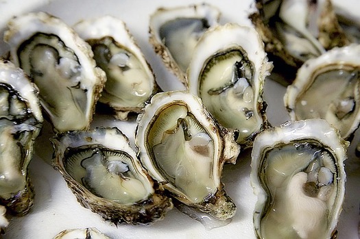 The Gulf of Mexico historically has been the largest producer of oysters in the nation. (photo-graphe/Pixabay)