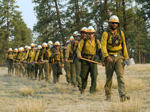 Wildfire managers in New Mexico often let wildfires burn, but have determined they will be extinguished as quickly as possible this season. (usda.gov) 