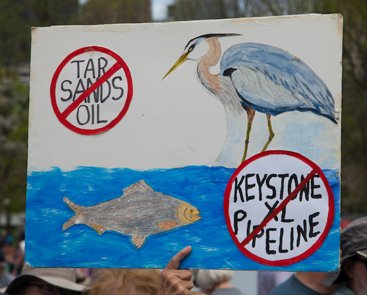 The Keystone XL pipeline could hurt endangered species such as the pallid sturgeon and whooping crane. (JP Photography/Adobe Stock)
