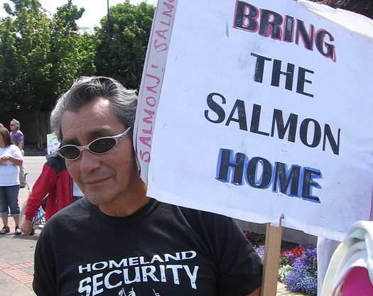 Low levels in the Klamath River could make conditions ripe for spreading disease among juvenile salmon. (Patrick McCully/Flickr)